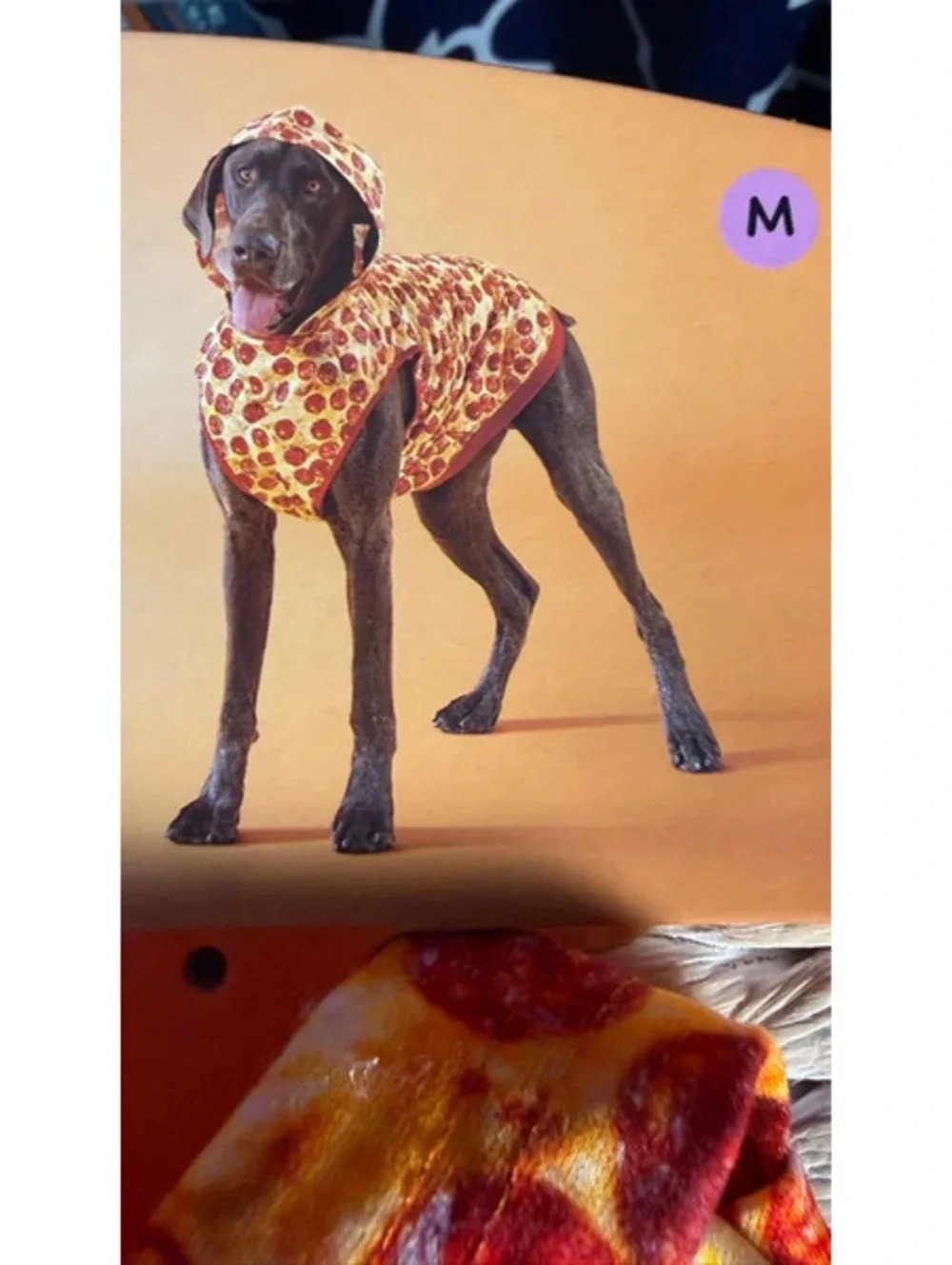 Boots and Barkley Medium Dog Pizza Shirt